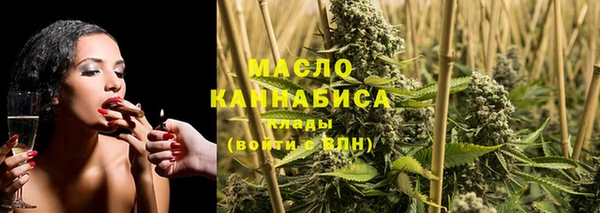 соль ск Алексин