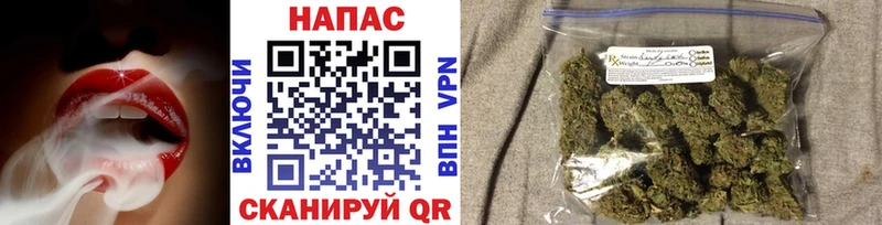 как найти закладки  Сухой Лог  это состав  Шишки марихуана сатива 